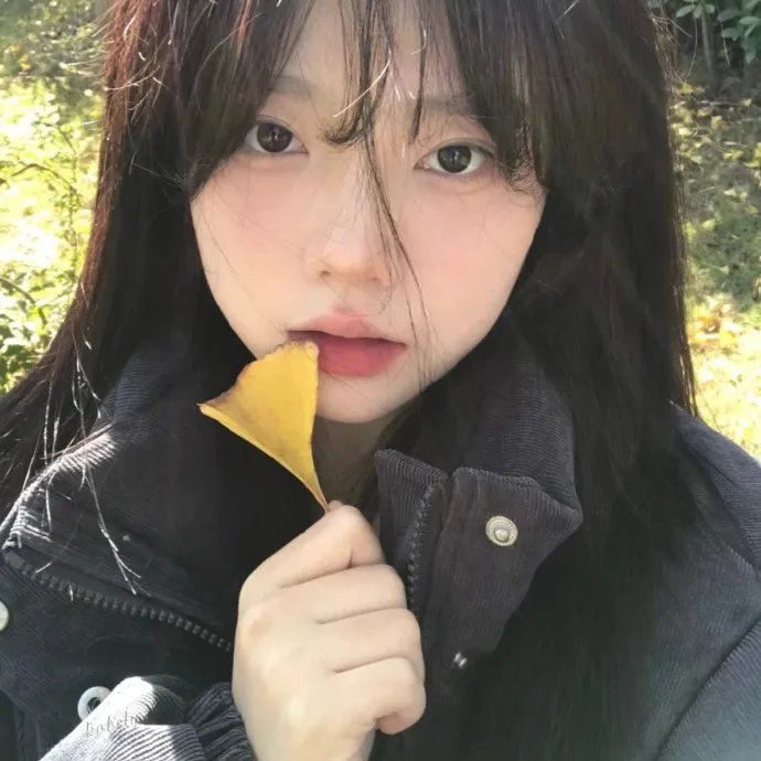 没有谎言